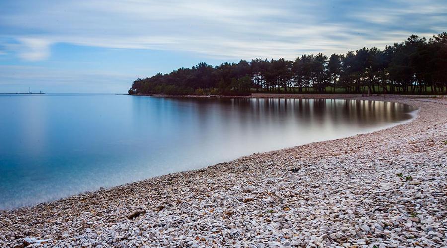 Apartman Ivo Lejlighed Novigrad Istria Eksteriør billede